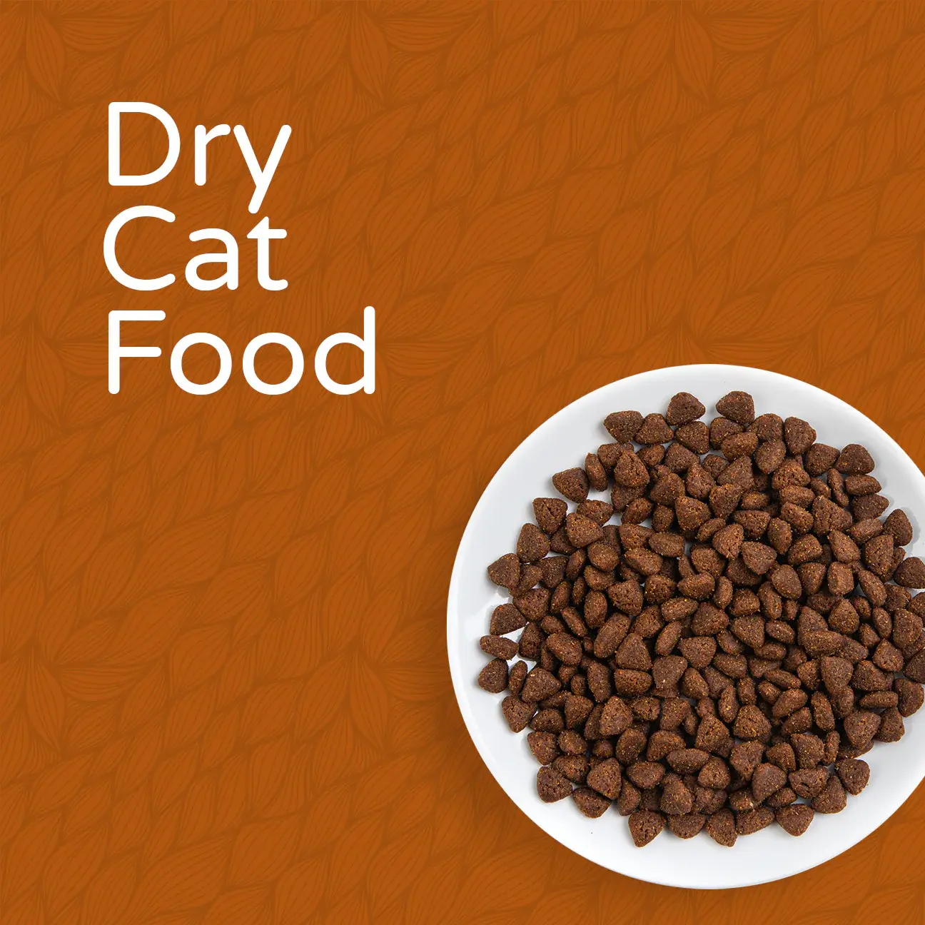 Dry Cat Food