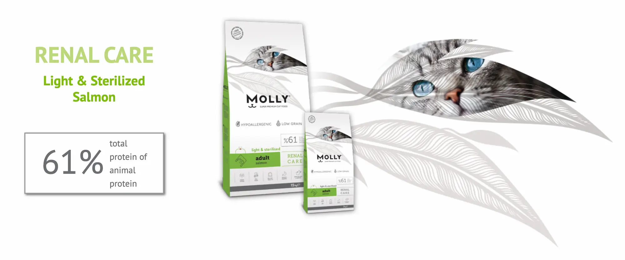 Molly Adult Renal Care Dry Cat Food