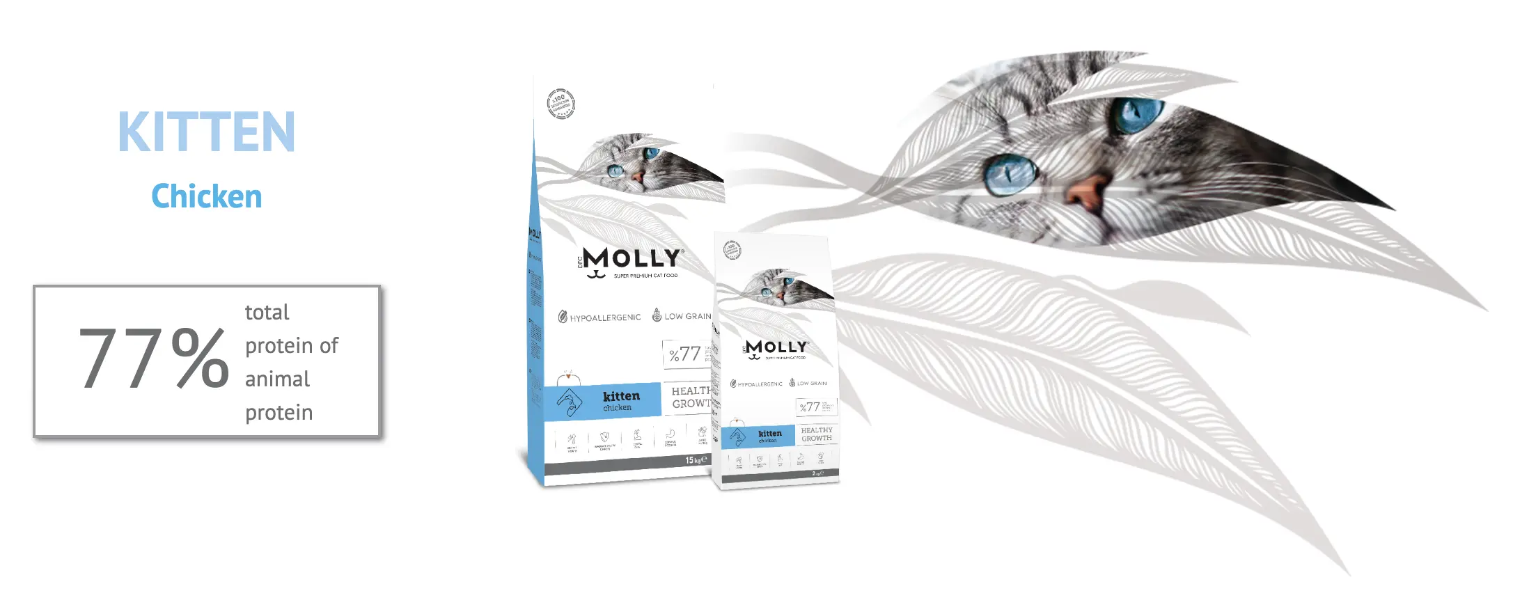 Molly Cat 2kg Cat & Kitten Cat Food Malaysia