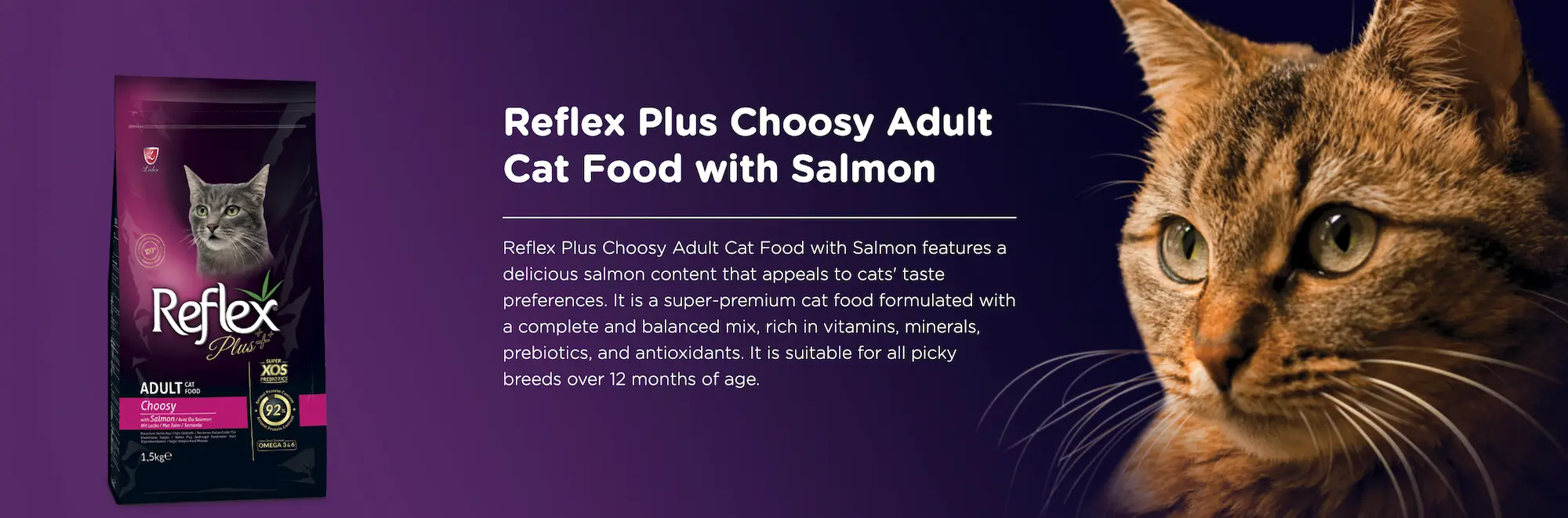 Reflex Plus 1.5kg Choosy Salmon Dry Cat Food Malaysia