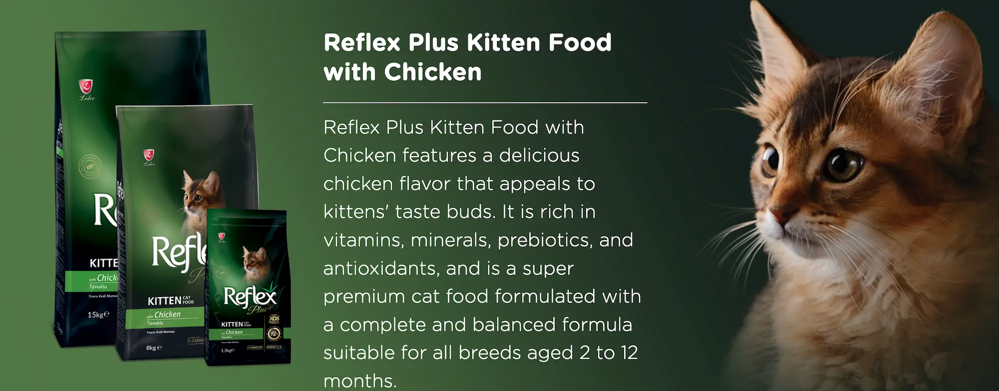 Reflex Plus 1.5kg Kitten Dry Cat Food thepetshop-my