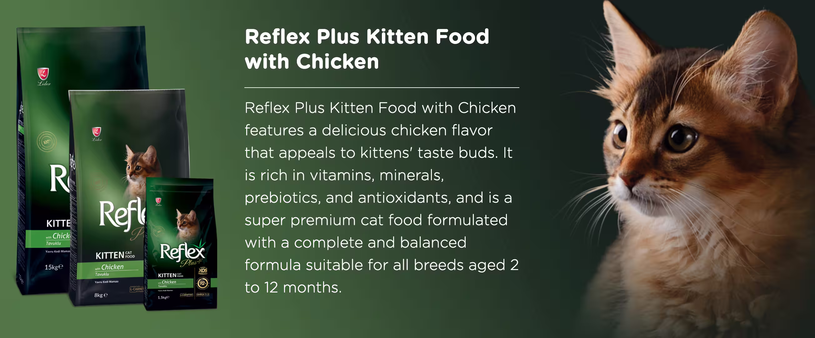 Reflex Plus Kitten Dry Cat Food Malaysia